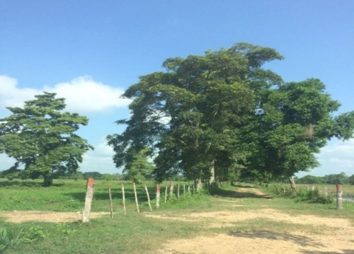 Imagen 2 de 3 de Venta Finca 2.260 Has. Edo. Barinas