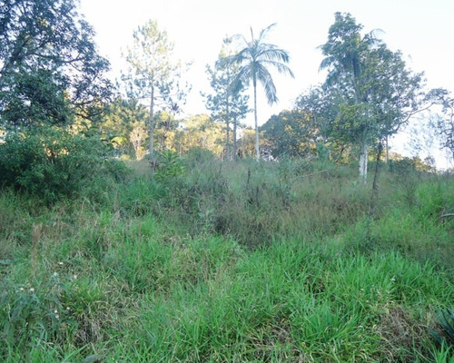 Imagem 14 de 16 de Sítio À Venda Em Juquitiba - 240 - 32982597
