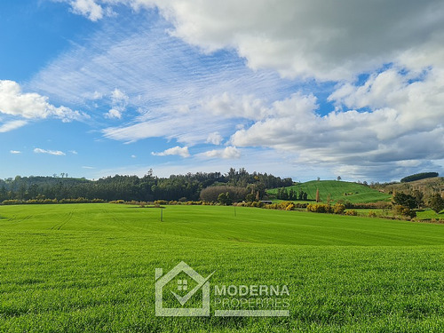Campo 78 Ha En Traiguén Entre Rios