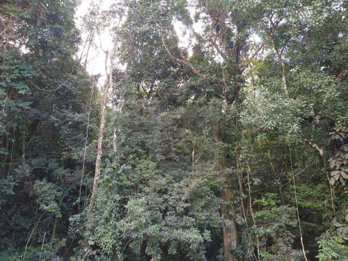 Imagem 17 de 30 de Casa À Venda, 80 M² Por R$ 430.000,00 - Caneca Fina - Guapimirim/rj - Ca1316