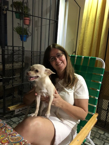 Guarderia Canina- Razas Chicas Sin Caniles Y Cupo Reducido