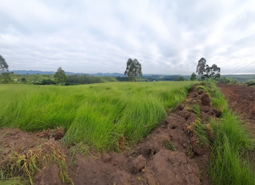 Imagem 2 de 14 de E88- Terreno Em Área Rural Com Ótima Topografia