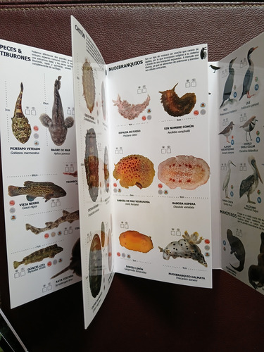 Intermareal/bosque Esclerofilo/templado/rocas-minerales.pack
