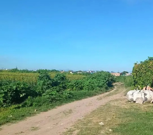 Se Venden 10 Hectáreas Irapuato Gto