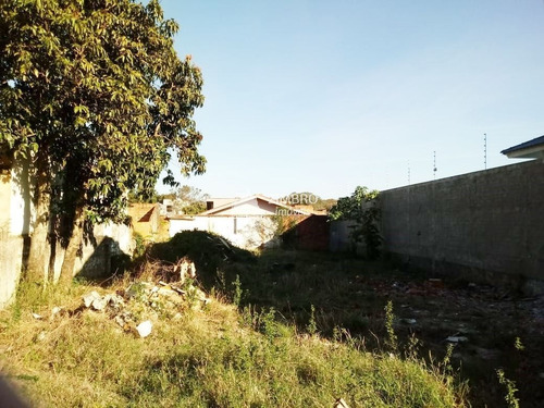 Imagem 3 de 9 de Terreno Para Construção 12x35 - Bairro Noal - 38284