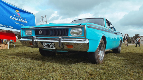 Polara Rt