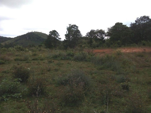 Imagen 1 de 6 de Terreno Rustico En Venta En La Localidad El Manzanillo