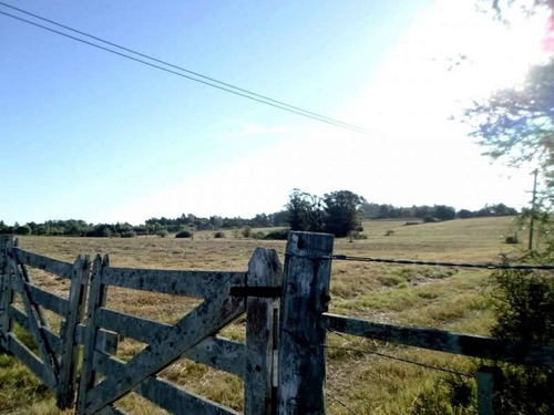 Terrenos O Lotes Venta Colonia