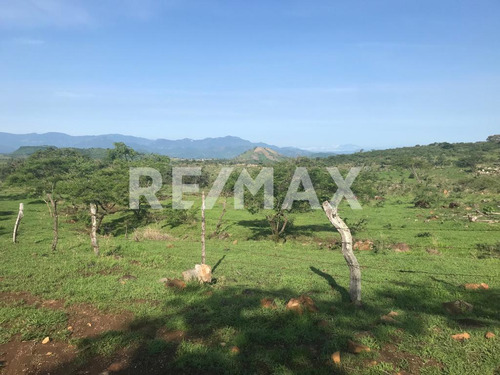 Terreno En Venta.