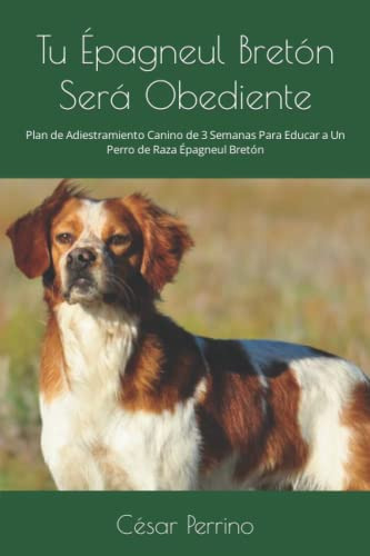 Libro: Tu Épagneul Bretón Será Obediente: Plan De Adiestrami