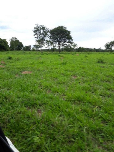 Ótima Fazenda Brasilandia , Terra Vermelha,plana 450 Hectares 3.600,000,00 - 38053
