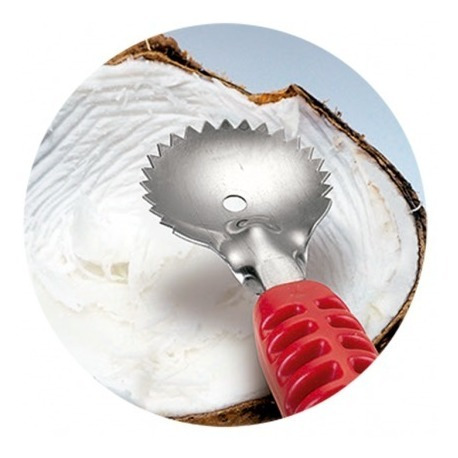 Imagem 4 de 5 de Raspa Coco Raspador Inox Manual Com Cabo Reforçado Keita