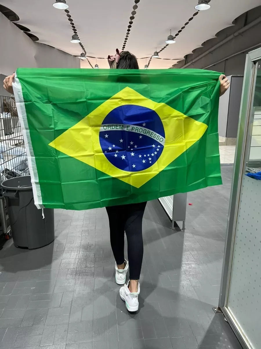 Segunda imagem para pesquisa de bandeira bolsonaro