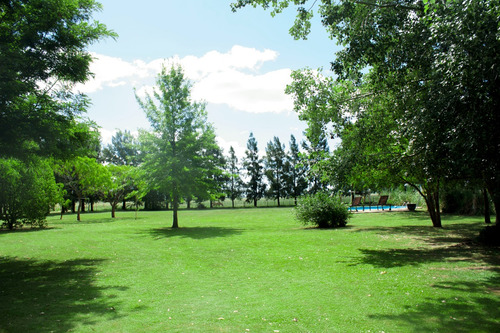 Chacra 5 Hectareas Gral Rodriguez C/pileta Y Cancha De Futbol A 1:30 De Capital Federal Chacra La Paz