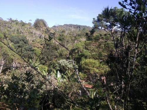 Imagem 5 de 23 de Chácara À Venda Em Juquitiba - 317 - 69514098