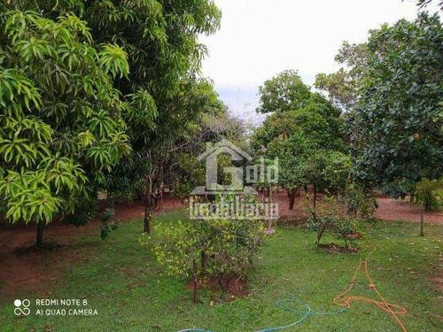 Chácara Com 7000m² -aceita Permuta - Possui Duas Casas, Area De Churrasco, Piscina, Campo De Futebol, Pomar Na Cidade De Tupã´-sp - Ch0050