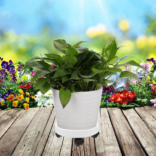 Rueda Universal Pallet Mobile Pot Base