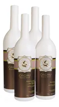 Comprar Combo 4 Tratamentos (passo 2) Eternityliss Cacau 1l