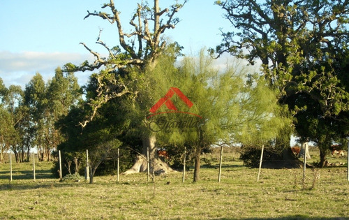 Chacra De 5 Hás En Paraje Cañada Bellaca- Ref: 1708