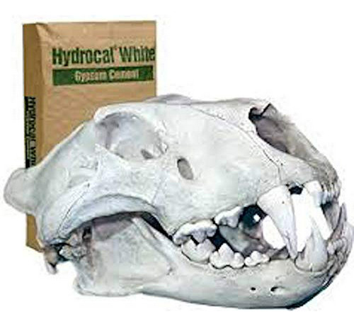 Hydrocal Plaster Para Modelismo Y Odontología (10 Lb)