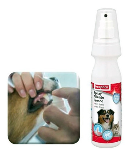 Beaphar Spray Aliento Fresco Perros Y Gatos 150ml - Aquarift