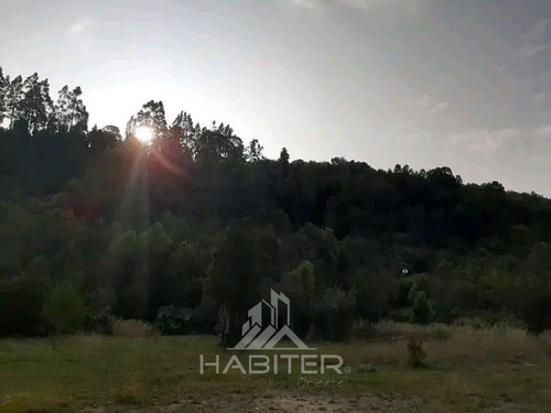 Parcela De 10.000 Mt 2 ,con 2 Cabañas ,1 Quincho