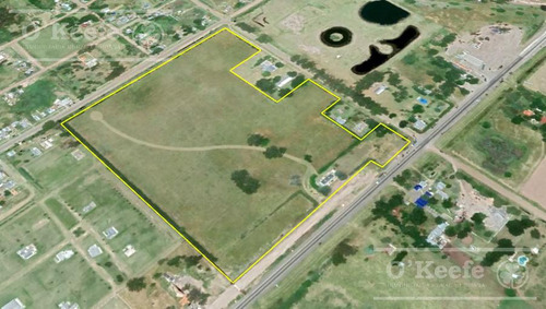 Tierra Para Desarrollo En Venta Sobre Ruta 3 Km 186, Las Flores