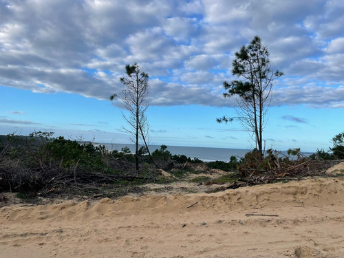 Terrenos En Venta En Playa Grande Punta Del Diablo