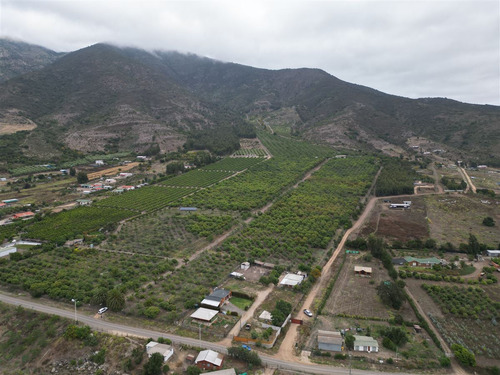 Parcela Agrícola Con Producción En Los Maquis