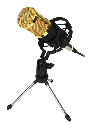 Microfono Condenser Bm-800 Unidireccional Plug And Play 
