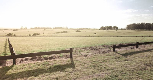 Terrenos O Lotes Venta Las Piedras