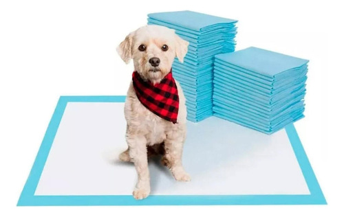 Sábanas Desechables Para Perros Lisa Azul 60x60 Cm 40u