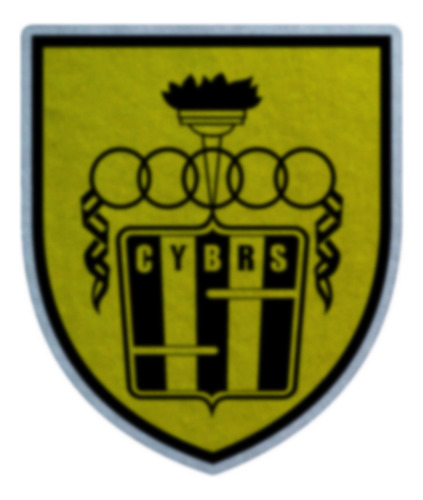 Parche Escudo Felpa Para Coser 6cm Set X4 Futbol Arg002 Ramon Santamarina Tandil Ramon Santamarina Tandil