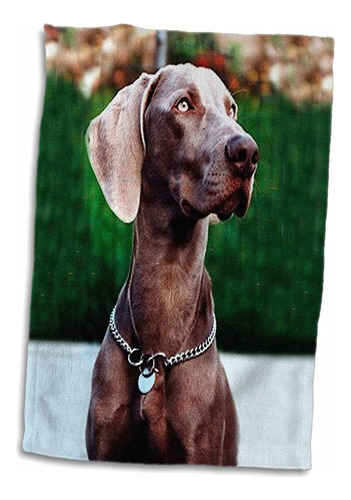 Toalla Weimaraner Rosa 3d, 15 X 22