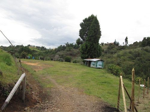 Lote En Venta En Guarne - Sur