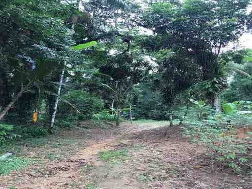 Imagem 2 de 6 de Area - Horto Figueira - 1451