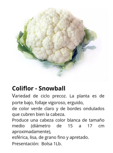 Semilla De Coliflor Snow Ball Bolsa De 1 Lb Westar/king Seed