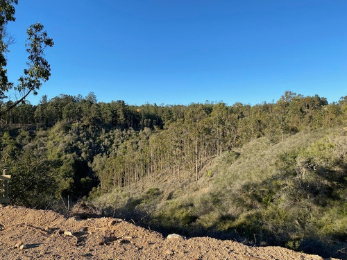 Nuevo Proyecto Inmobiliario Parcelación Bosques De Tunquén