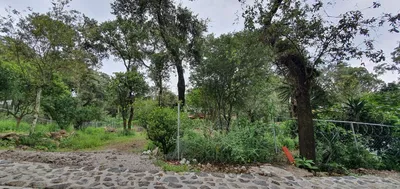 Terreno en venta