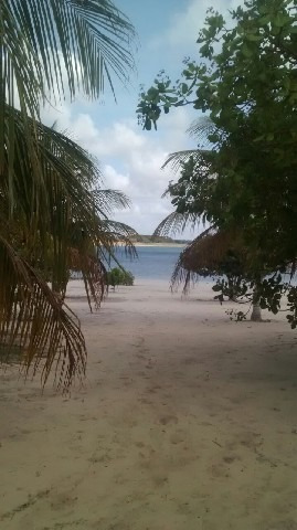 Imagem 7 de 10 de Chácara Com 4 Dormitórios À Venda, 12000 M² Por R$ 800.000,00 - Lagoa Do Bonfim - Nísia Floresta/rn - Ch0007