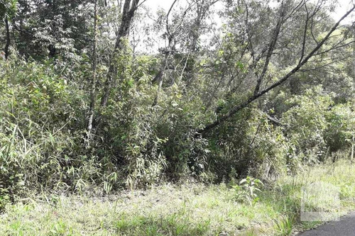 Imagem 4 de 4 de Lote À Venda No Arvoredo - Código 274031 - 274031