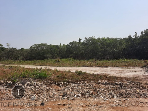 Imagem 2 de 12 de Terreno A Venda No Bairro Tupy Em Itanhaém, Com Entrada De R$ 4.000,00 Reais E Parcelas De R$ 549,00 Reais Fixas. - Te00040 - 70170433