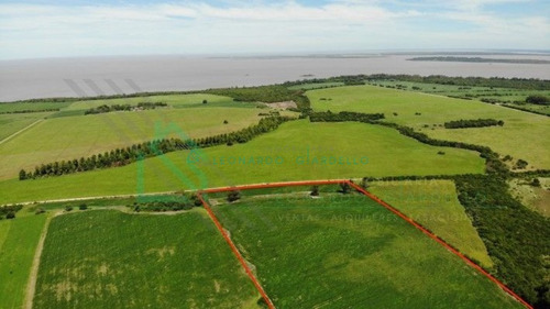 Imagen 2 de 13 de Martin Chico, Colonia - Campo Agricola Con Vista Al Rio De La Plata