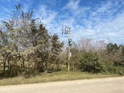 Terreno en renta