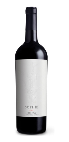 Imagen 1 de 3 de Vino Tinto Nebbiolo Sophie Vinicola Santa Elena 750 Ml