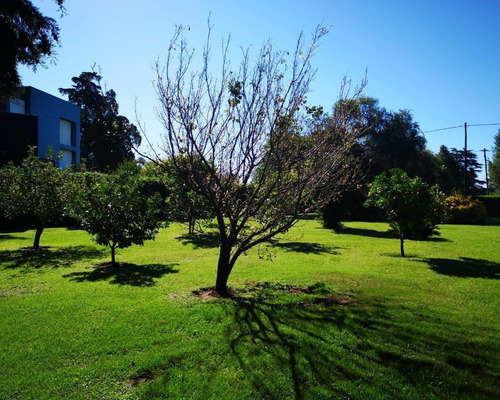 Imagen 3 de 23 de Vendo Casa Frente A Golf De Villa Allende