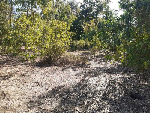 Imagen 13 de 19 de Terreno De 9 Ha En Ñiquen