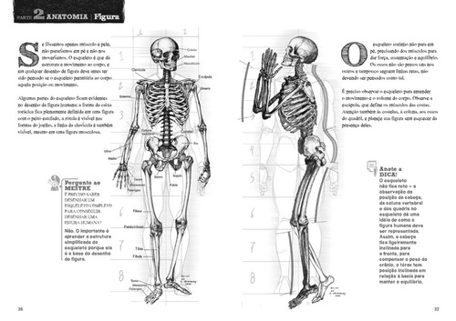 Imagem 7 de 7 de Desenho A Mão Livre - Alexandre Jubran 2 Volumes