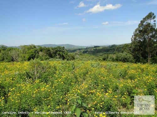 Imagem 2 de 15 de Área Rural Para Venda Em Mariana Pimentel, Linha Preta - Mariana Pimentel - 1148_1-731320