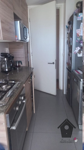 Los Pellines, Bosques De Montemar, 2d 2b, 68/75m2